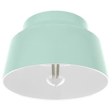 Hunter Cranbrook 1-Light Flush Mount in Mint, , large