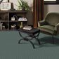 Anderson Tuftex Crochet Carpet in Billiard Room, , large