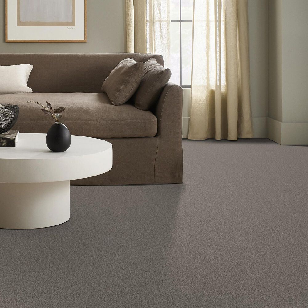 Shaw Tonal Comfort I Carpet in Natural Fit, , large