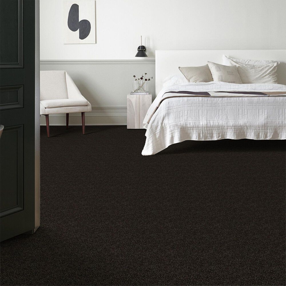 Shaw Making The Rules III Carpet in Black Rich Earth, , large