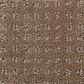 Shaw Detailed Elegance Patterned Carpet in Saffron, , large