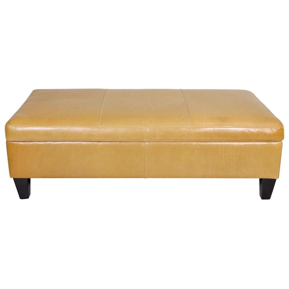 Jonathan Louis Ashbury Leather Storage Ottoman in Echo Lager, , large