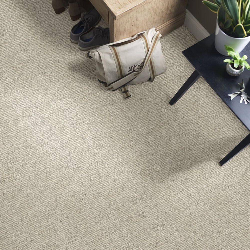 Anderson Tuftex Loredo Carpet in Smokey Taupe, , large