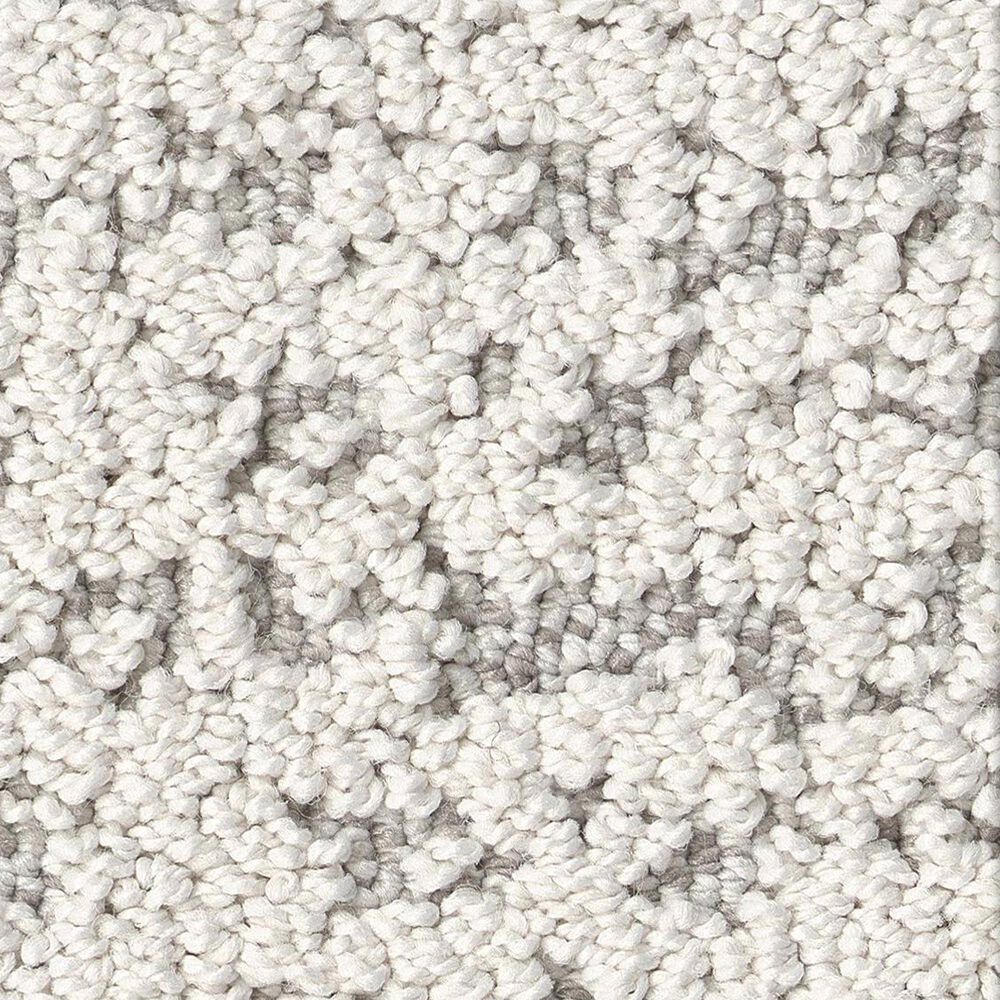 Anderson Tuftex Tangent Carpet in First Frost, , large