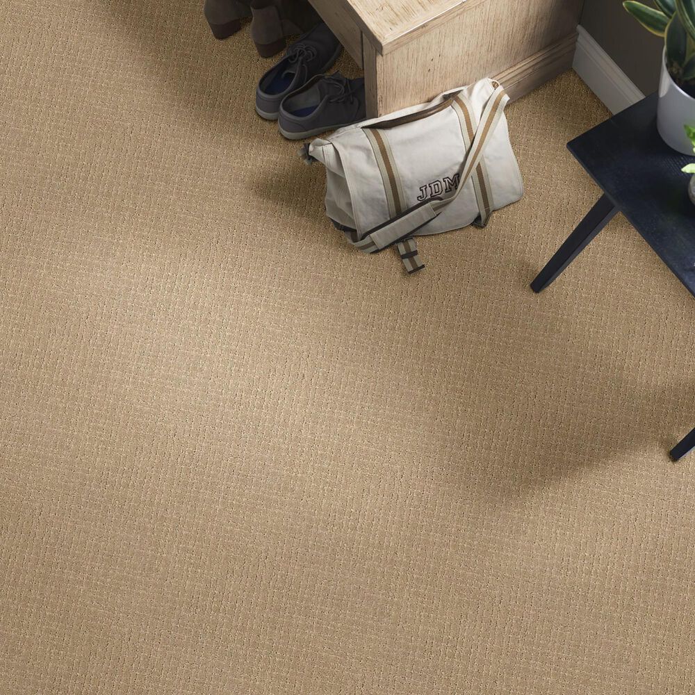 Anderson Tuftex Recital Carpet in Coronado, , large