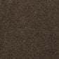 Mohawk Natural Confidence Carpet in Longhorn, , large