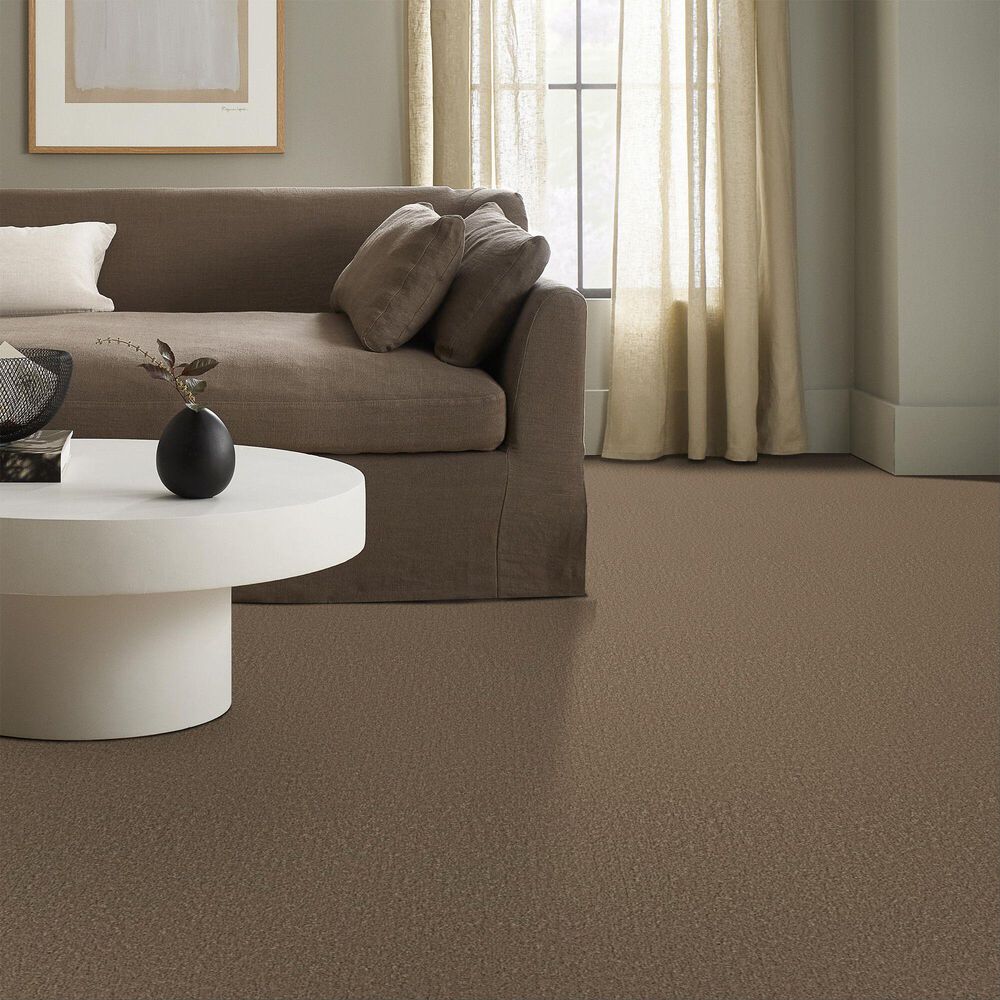 Shaw Posh Life Carpet in Mission Ridge, , large