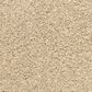 Dixie Home Escalante Carpet in Buff, , large