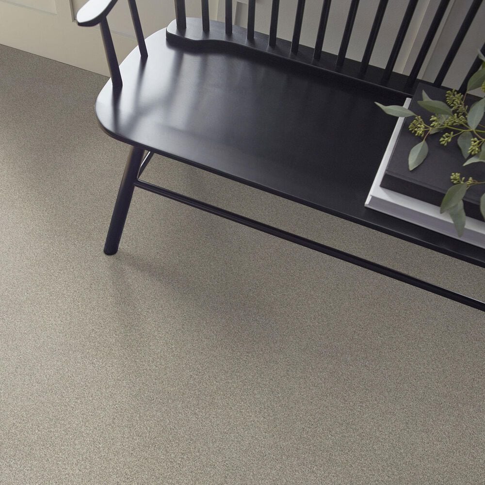 Shaw Comforting I Carpet in Rustic, , large