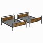 Hearth and Haven Twin XL over Twin XL Detachable Bunk Bed in Black and Gold, , large