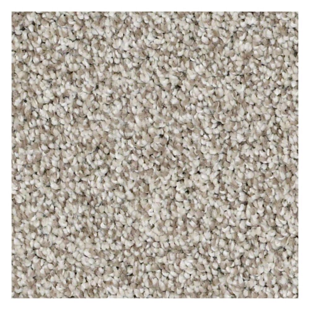 Shaw Detailed Tonal Carpet in Natural NFM