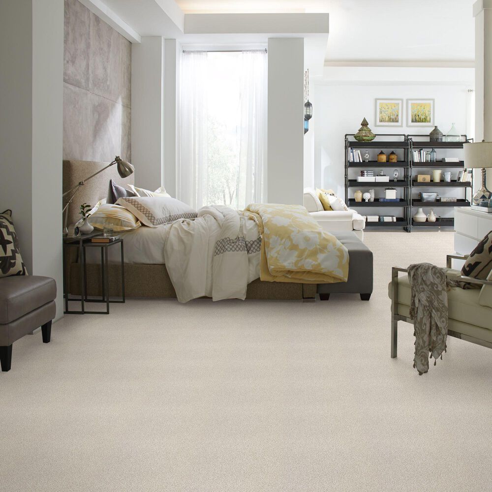 Shaw Find Your Comfort TT I Carpet in Need a Hug, , large
