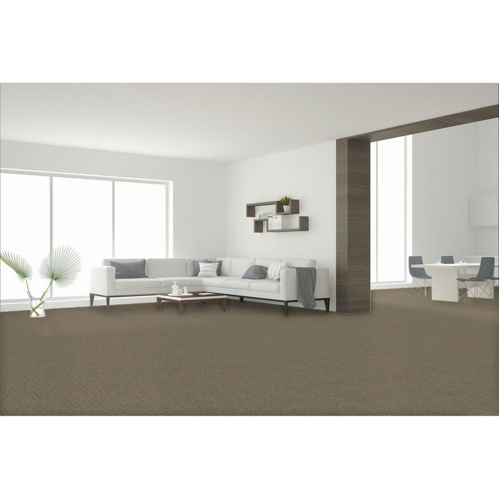 Dream Weaver Natural Attraction Carpet in Regal, , large