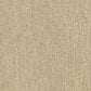 Dixie Home Legacy Carpet in Fallow, , large