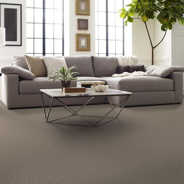 Shaw Artistic Fusion II Carpet in Soft Sense, , large