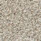 Shaw Sfa Find Your Comfort TA II Carpet in Backstage Pass, , large