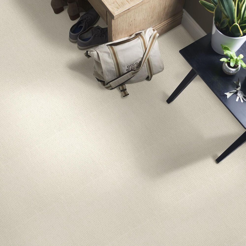 Anderson Tuftex Dynasty Carpet in Shaded White, , large