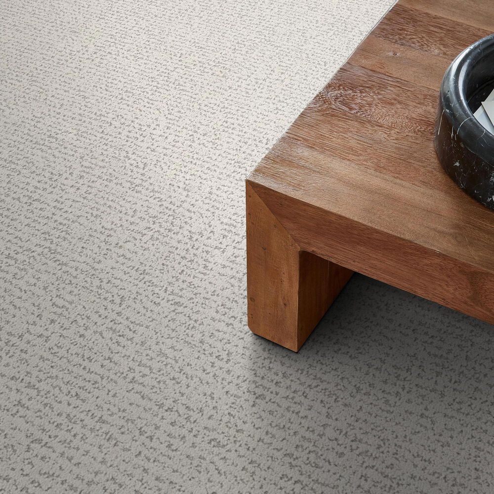 Anderson Tuftex Tangent Carpet in First Frost, , large