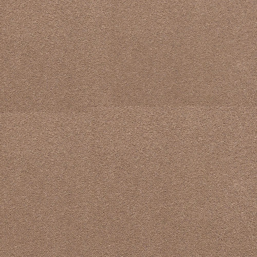 Dixie Home Neverland Carpet in Edgewood, , large