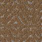 Anderson Tuftex Delight Carpet in Autumn Acorn, , large