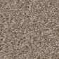 Shaw Good Move I Carpet in Grecian Tan, , large