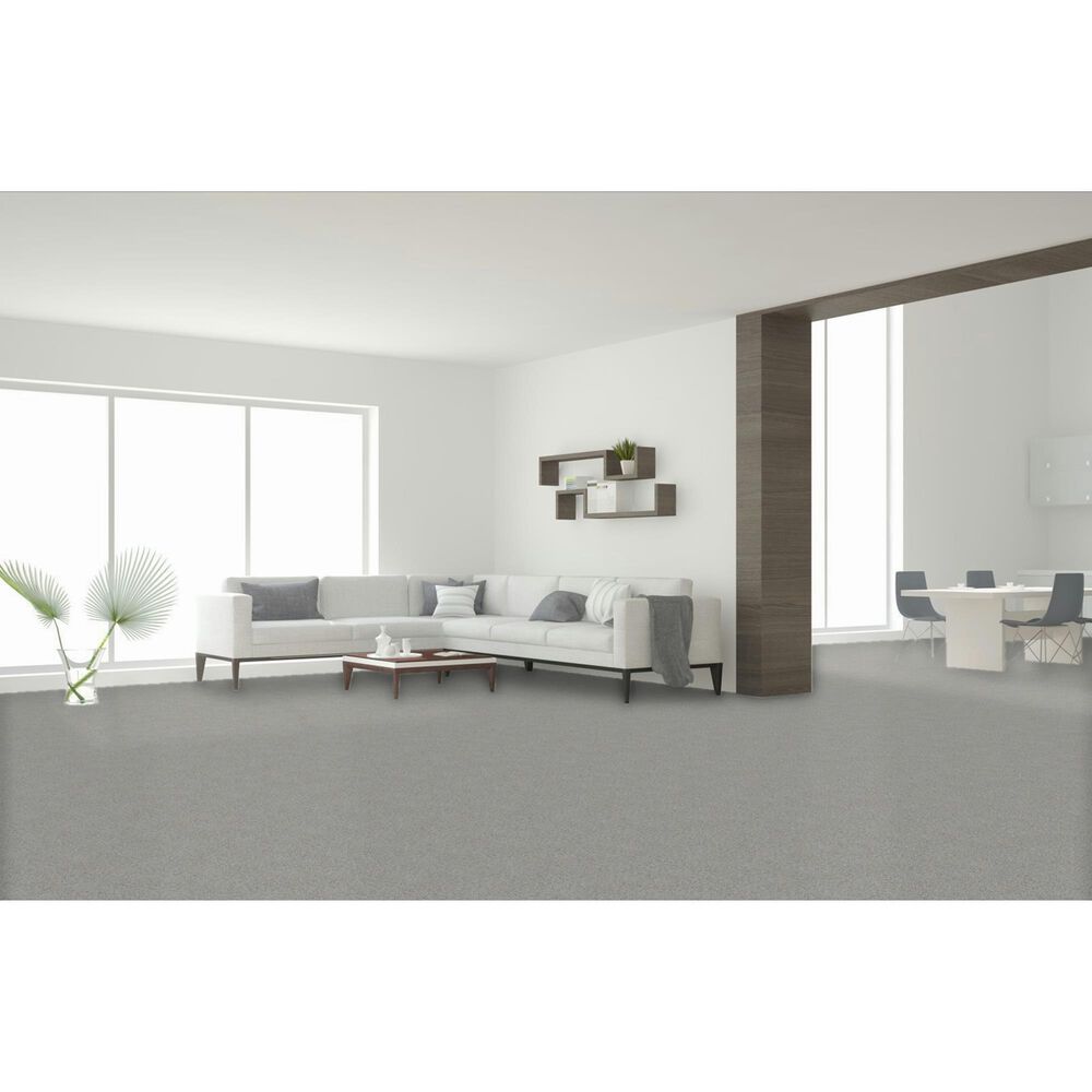 Dream Weaver Prismatic III Carpet in Compliment, , large
