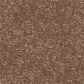 Shaw Easy Spirit I 12" Carpet in Bungalow, , large