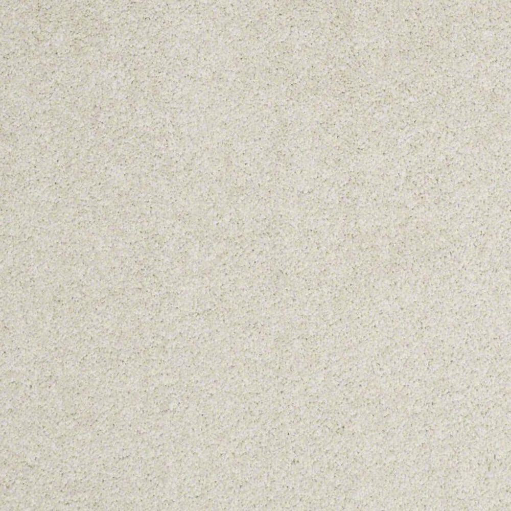 Anderson Tuftex Barracan Classic II Carpet in Cheviot, , large