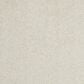 Anderson Tuftex Barracan Classic II Carpet in Cheviot, , large