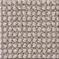 Anderson Tuftex Alluring Carpet in Gypsum, , large