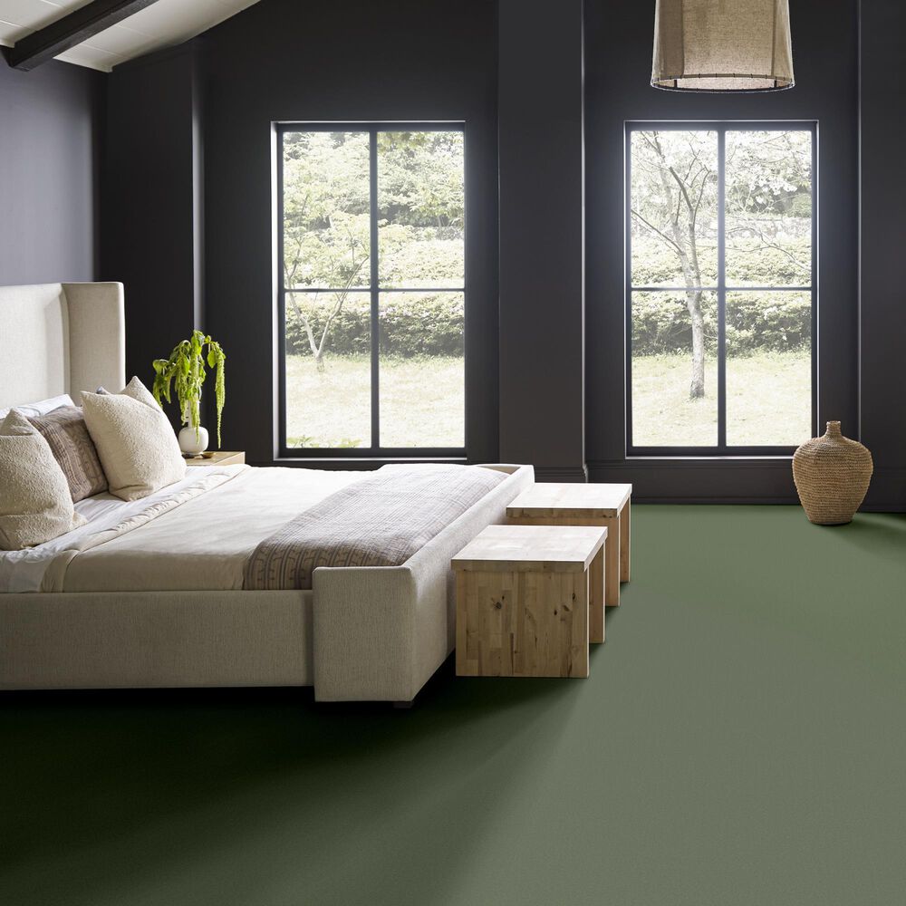 Anderson Tuftex Finery Carpet in Valley View, , large