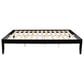 Linden Boulevard Polly Queen Platform Bed without Headboard in Black, , large