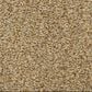 Dixie Home Carefree Carpet in Impressionist, , large