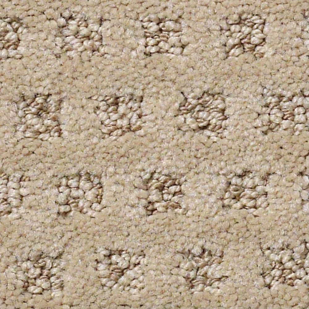 Anderson Tuftex Narrow Creek Carpet in Llama, , large
