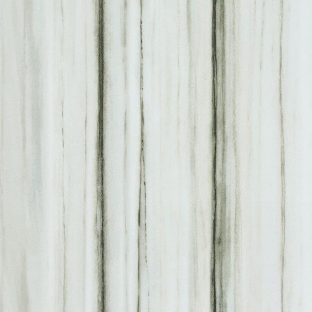 Shaw Vision Zebrino 16" x 32" Polished Ceramic Tile, , large