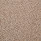 Masland Granique Carpet in Ammonite, , large