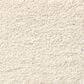 Shaw Find Your Comfort NS II Carpet in Vintage Quilt, , large