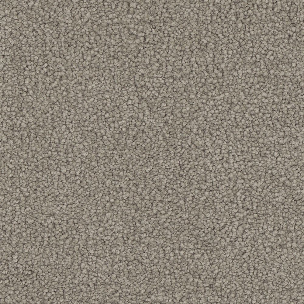 Phenix Mateo Carpet in Authentic, , large