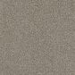 Phenix Mateo Carpet in Authentic, , large