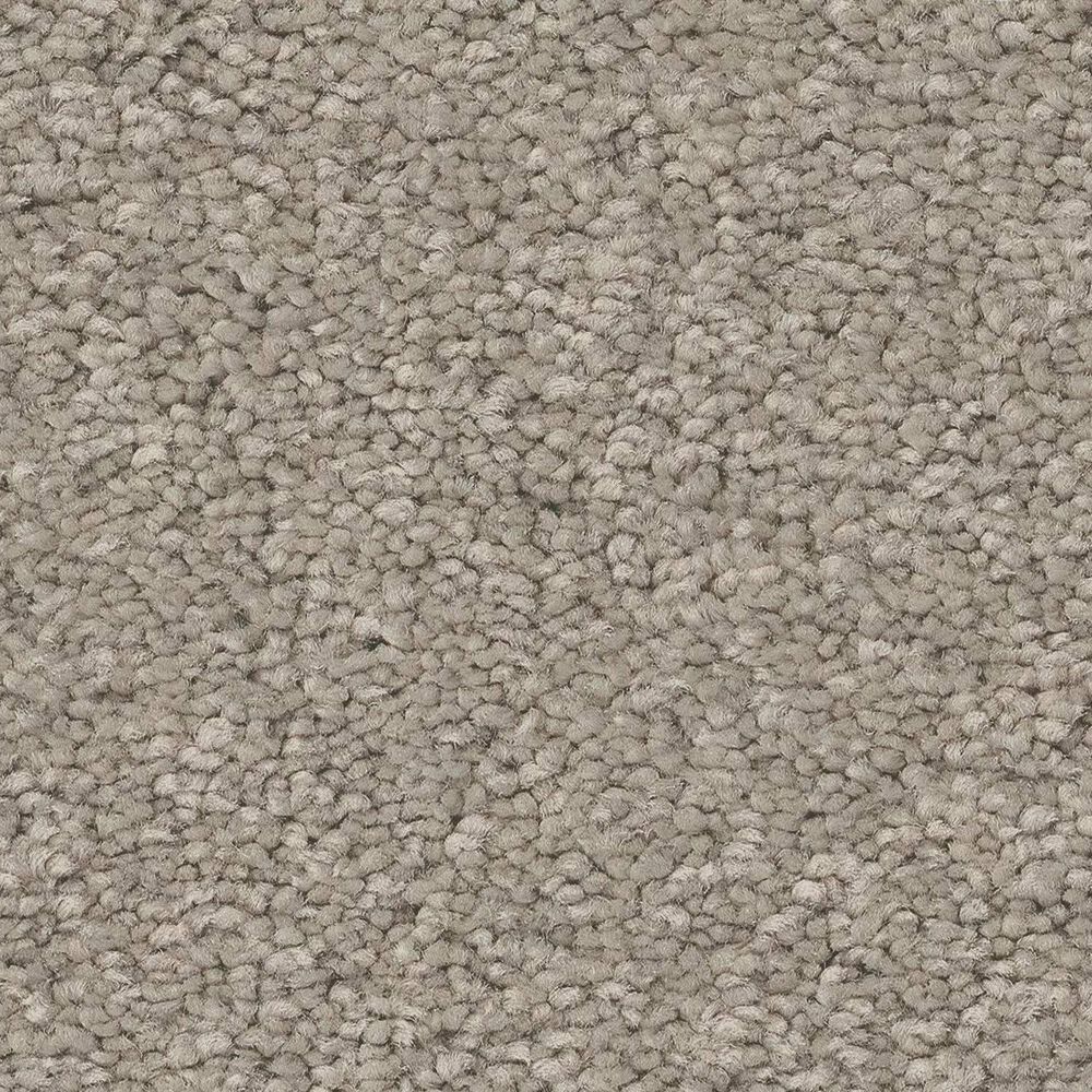 Anderson Tuftex Elegant Beauty Carpet in String, , large