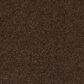 Mohawk Quality Feeling Carpet in Dark Fudge, , large