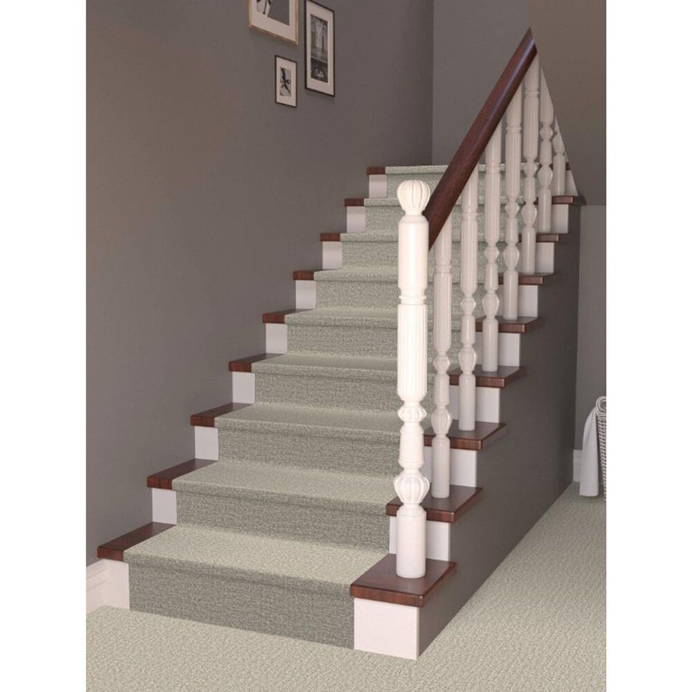 Masland Offspring Carpet in In-Corgnito, , large