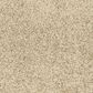 Mohawk Paw Pathway Carpet in Poppy Seed, , large