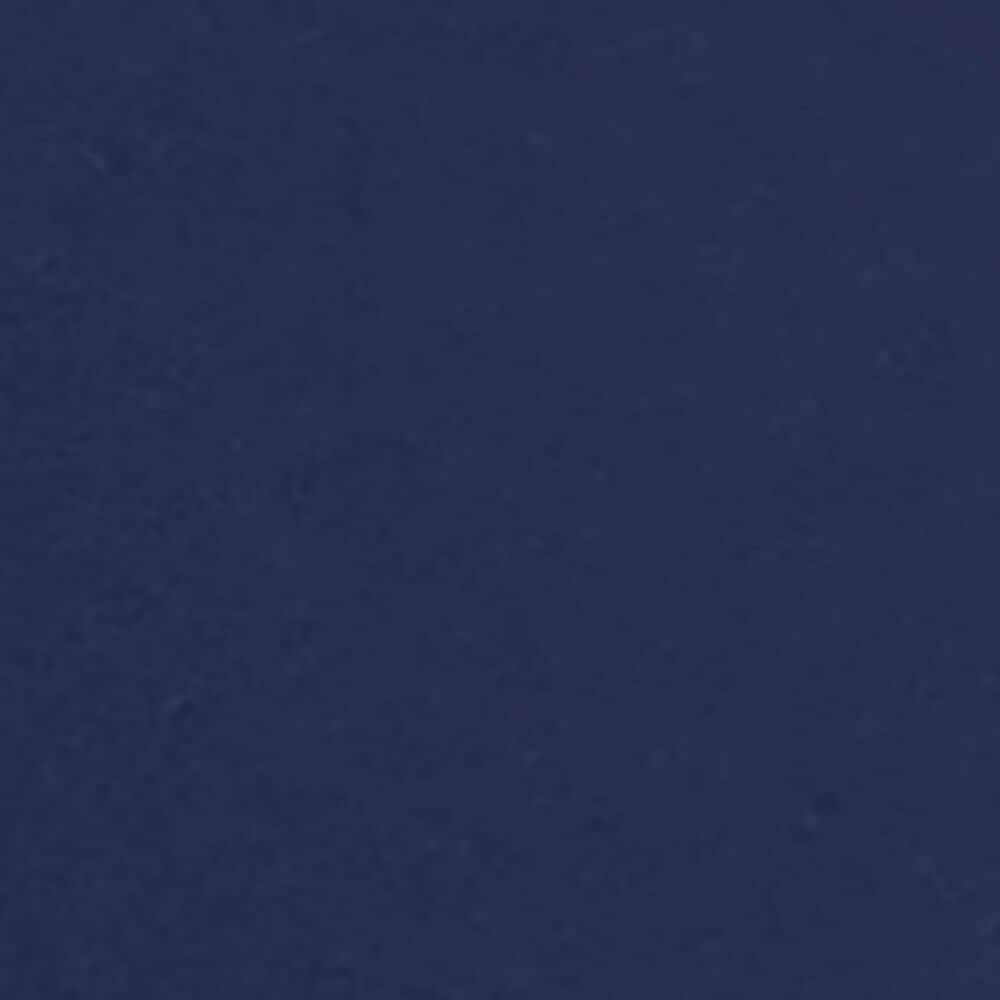 Furniture of America Haven Twin Loft Bed in Blue and Gold, , large