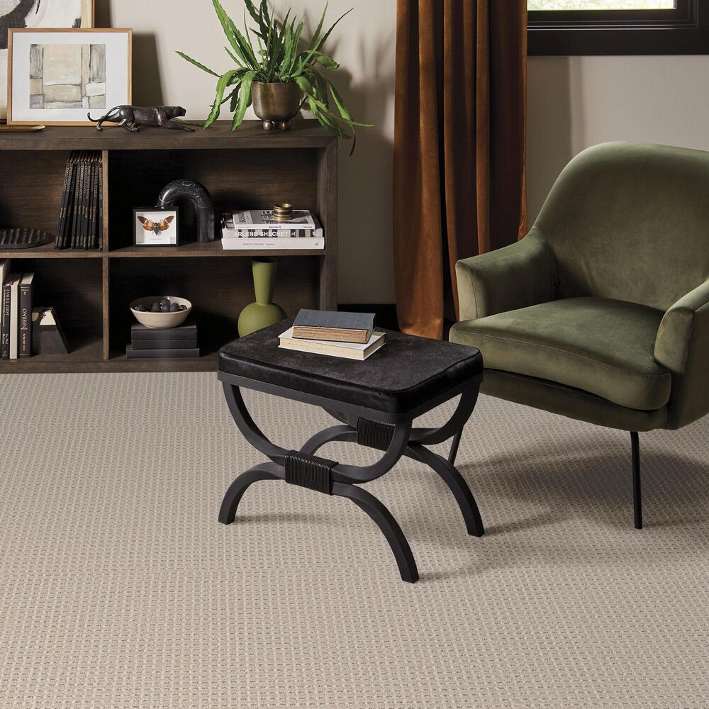 Anderson Tuftex Rhode Carpet in Toasted Almond, , large