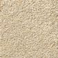 Shaw Find Your Comfort NS II Carpet in Sun Kissed, , large