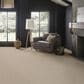 Anderson Tuftex Obscura Carpet in Sunbleach, , large