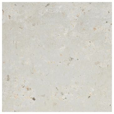 Emser Anvaya Aster 12" x 12" Matte Porcelain Tile, , large
