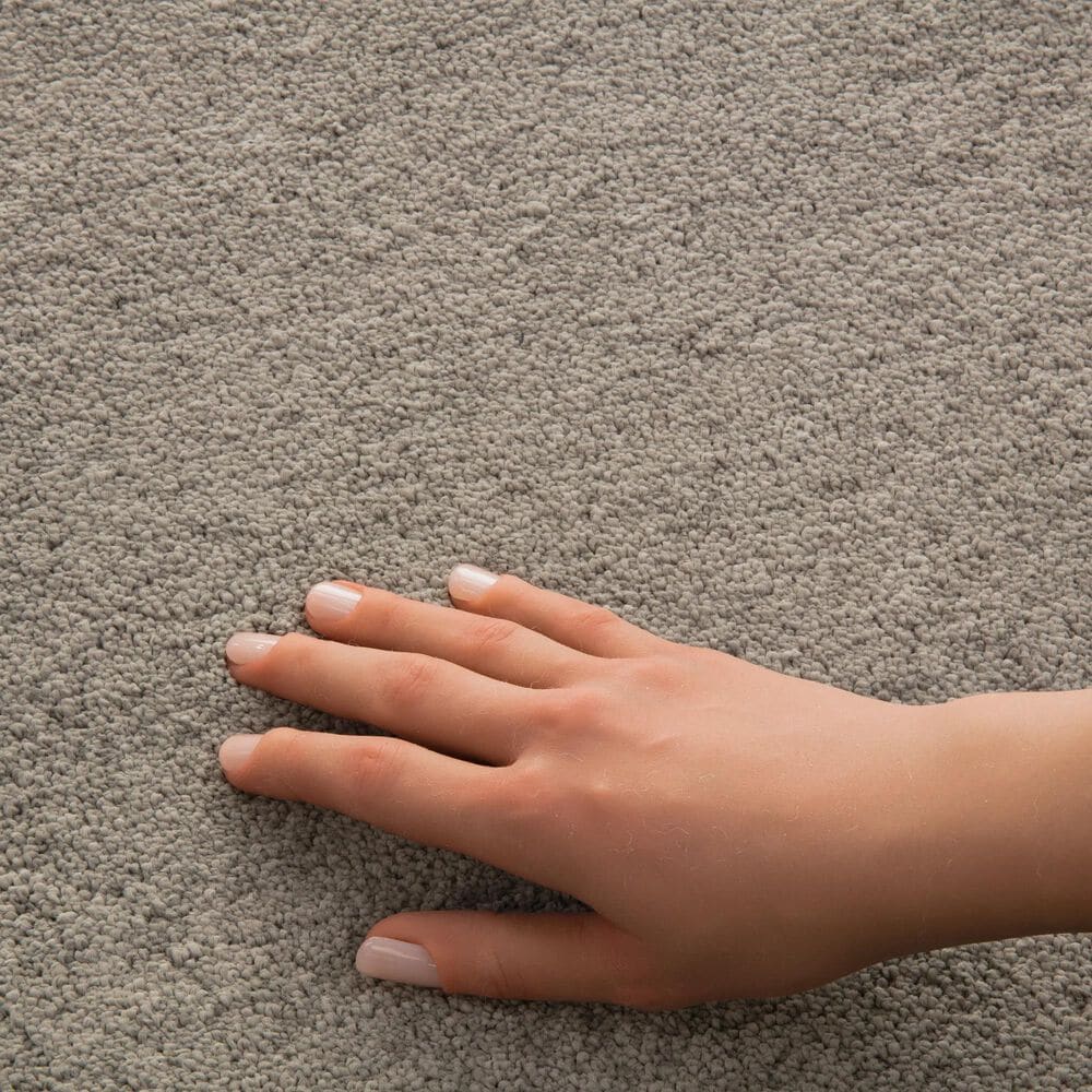 Philadelphia Champagne Taste I Carpet in Plaza Taupe, , large