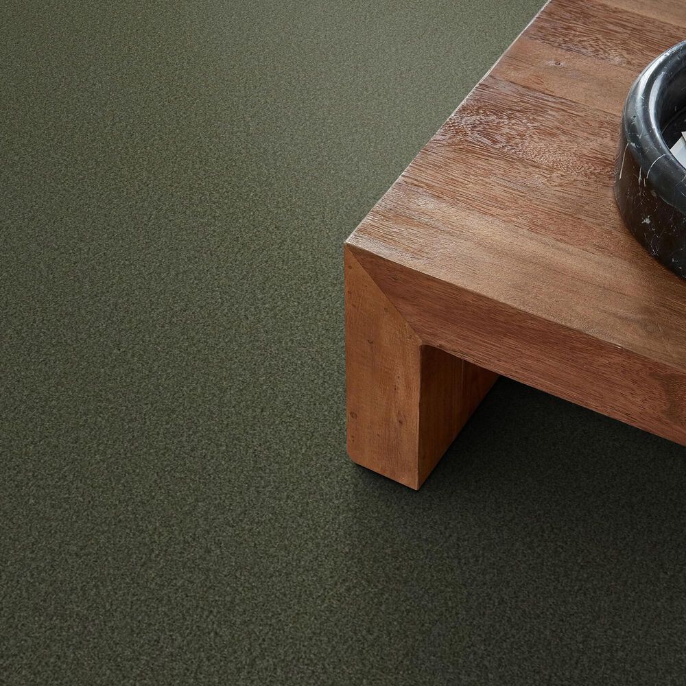 Shaw Tonal Comfort I Carpet in Olive Grove, , large